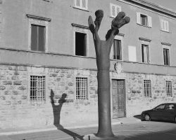 Sculture Mino Trafeli Volterra